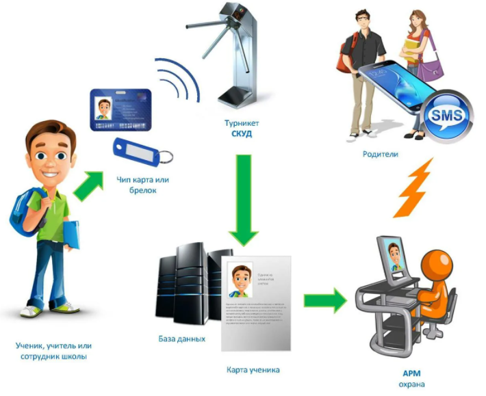 установка СКУД в школах инфографика